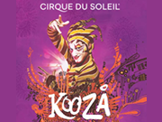 Kooza coupon and promotional codes