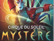 Mystere coupon code