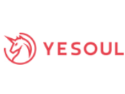 Yesoul coupon code