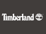 Timberland watches