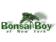 Bonsai Boy of New York coupon and promotional codes