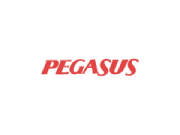 Pegasus Airlines coupon and promotional codes