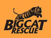 Big Cat Rescue
