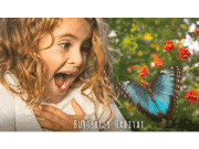 Butterfly Habitat coupon code