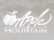 Apple Mountain ski resort