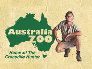 Australia Zoo coupon and promotional codes